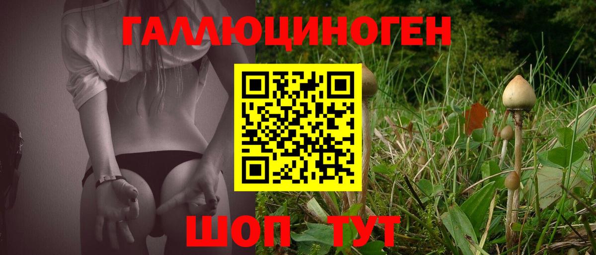 Псилоцибиновые грибы Psilocybe  Вход с VPN  Псилоцибиновые грибы MAGIC MUSHROOMS  Прокопьевск 